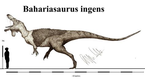 bahariasaurus size